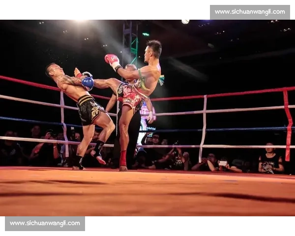 太极拳与泰拳跨界对决传统智慧与现代搏击的碰撞思考竞技价值与文化差异解析