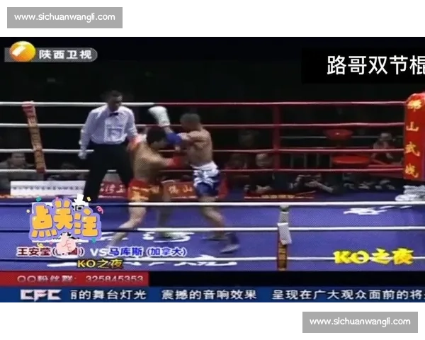 柳海龙对决宝力高草原勇士与擂台王者的巅峰生死战世纪传奇终极荣耀